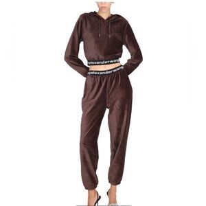 Alexander wang corduroy hoodie shirt pants joggers set brown ALO -SOLD OUT! $650